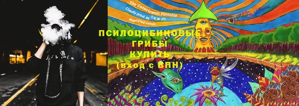 крисы Приозерск