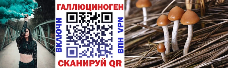 kraken зеркало Спасск-Дальний Псилоцибиновые грибы прущие грибы